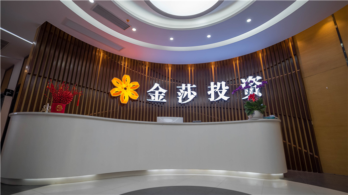 普宁市金莎投资有限公司 普宁市金莎投资有限公司